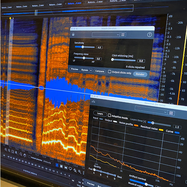 音声ファイルノイズ除去